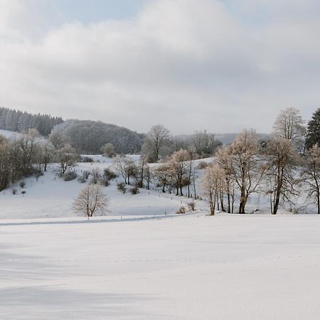 Jagdhaus In Der Rhoen In Voelliger Alleinlage Gersfeld Exterior foto